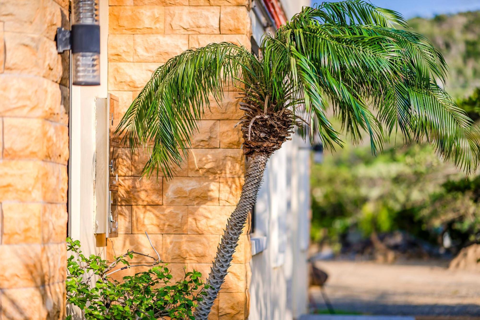 Southern Sun Homestay North Kenting Kültér fotó